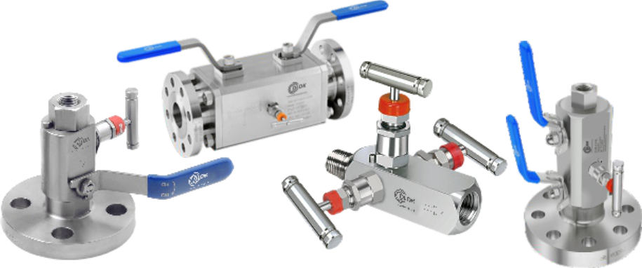 Block and Bleed Valve